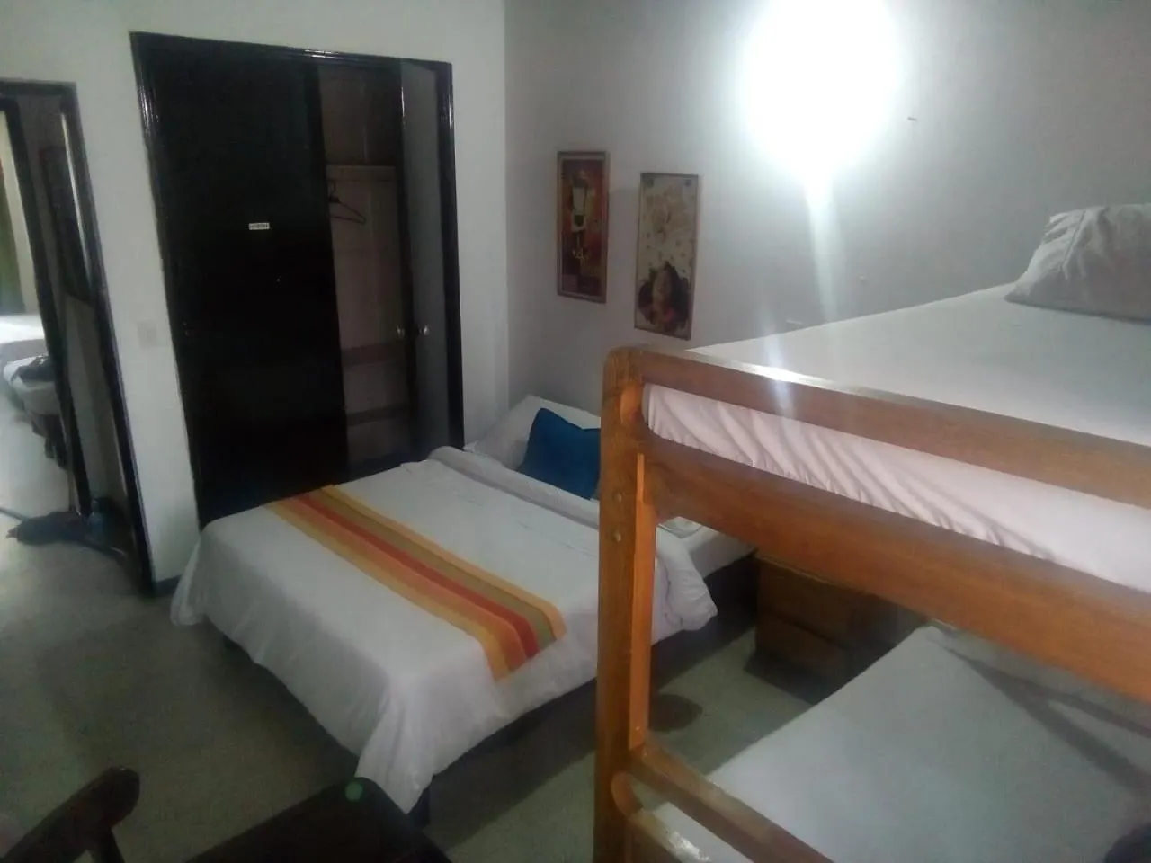 Palm Tree Hostel Medellin