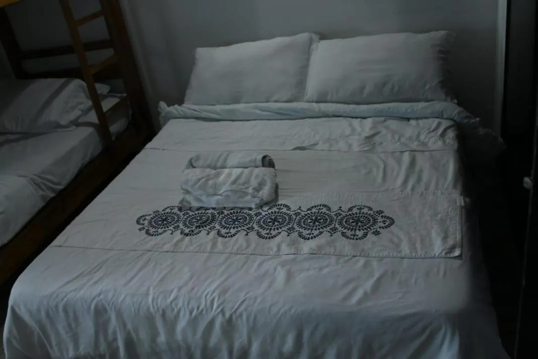 Palm Tree Hostel