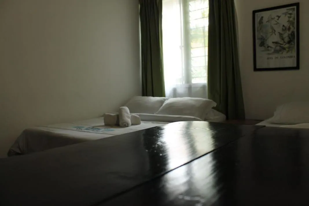 Palm Tree Hostel