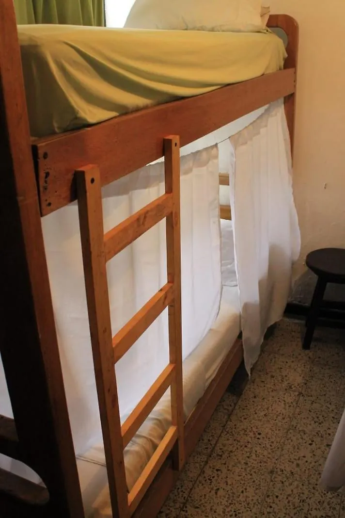 Palm Tree Hostel Medellin