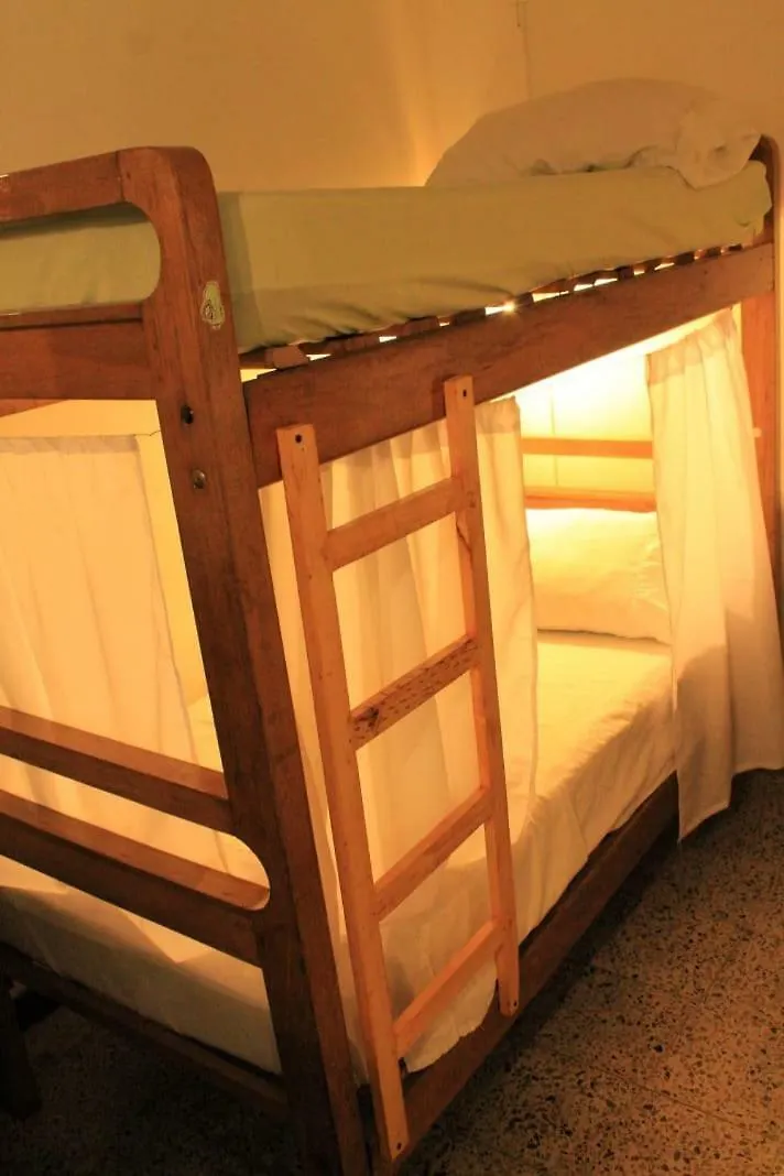 Palm Tree Hostel Colombia