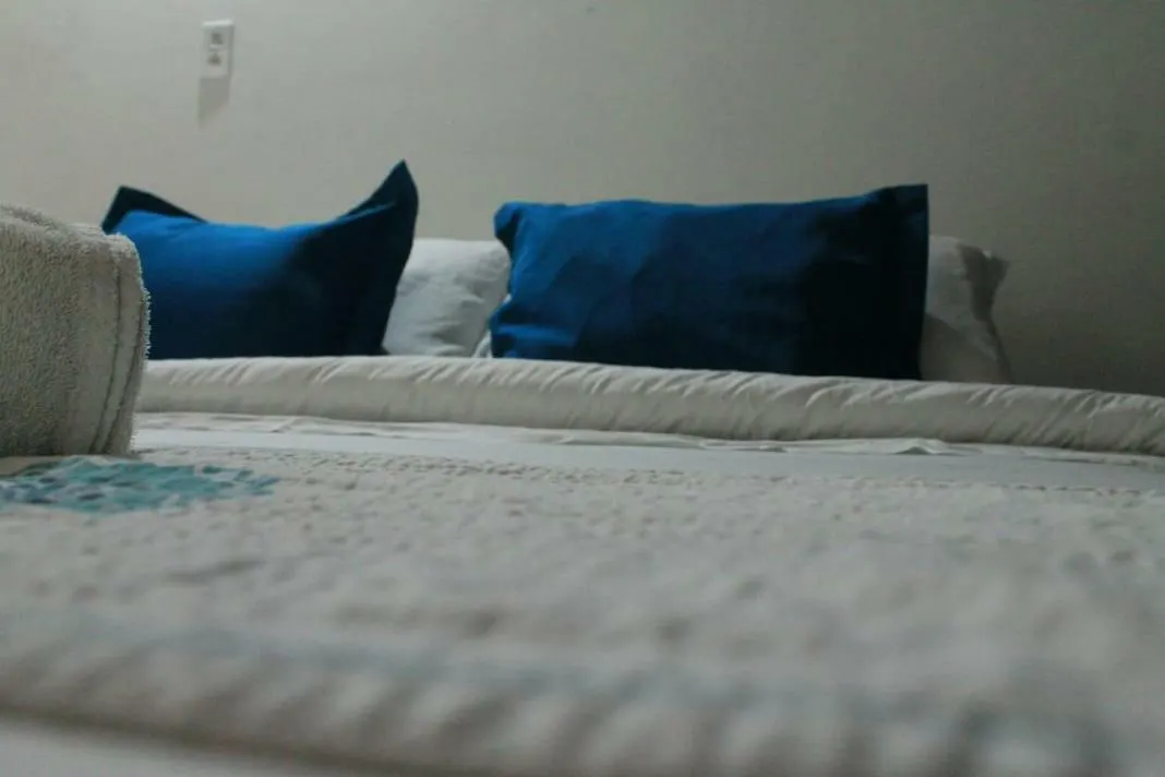Palm Tree Hostel