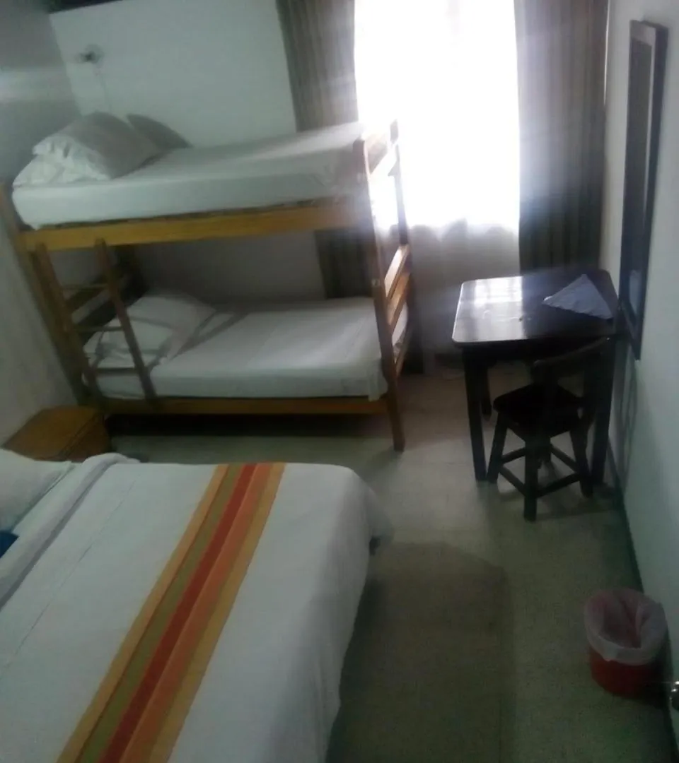 Palm Tree Hostel