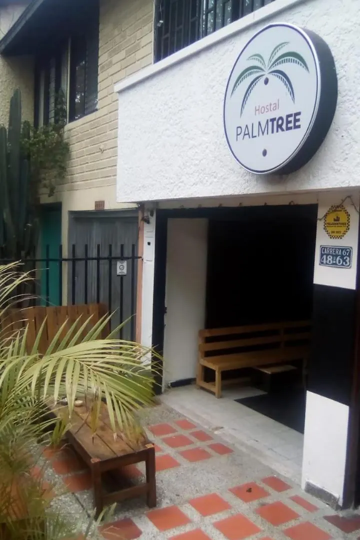 Palm Tree Hostel