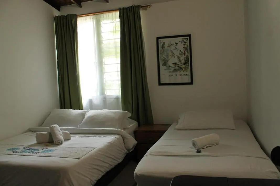 Palm Tree Hostel