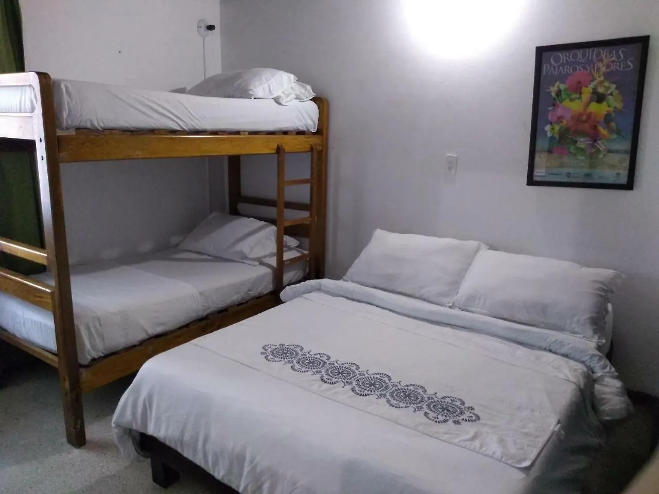 Palm Tree Hostel